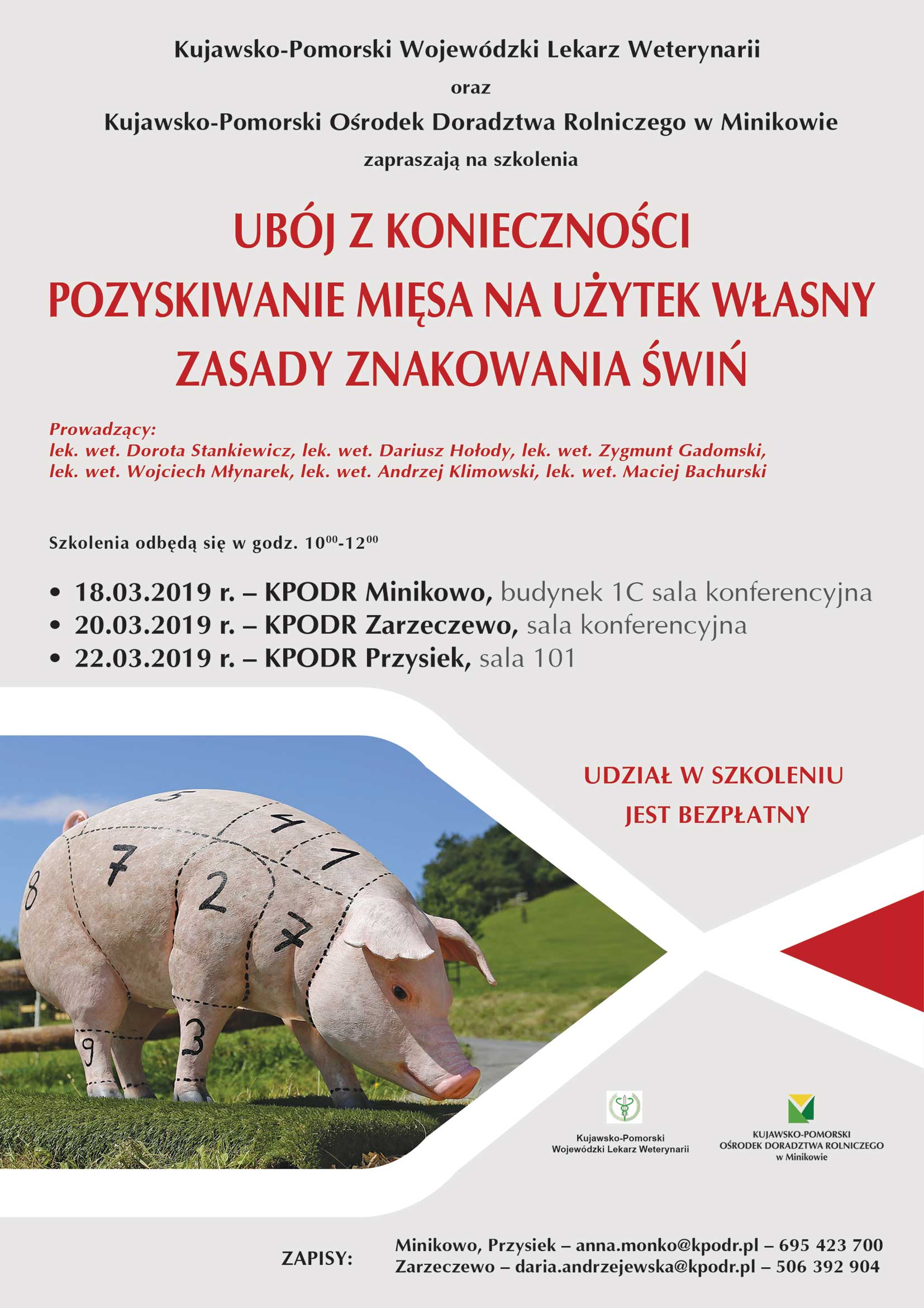 plakat szkolenie