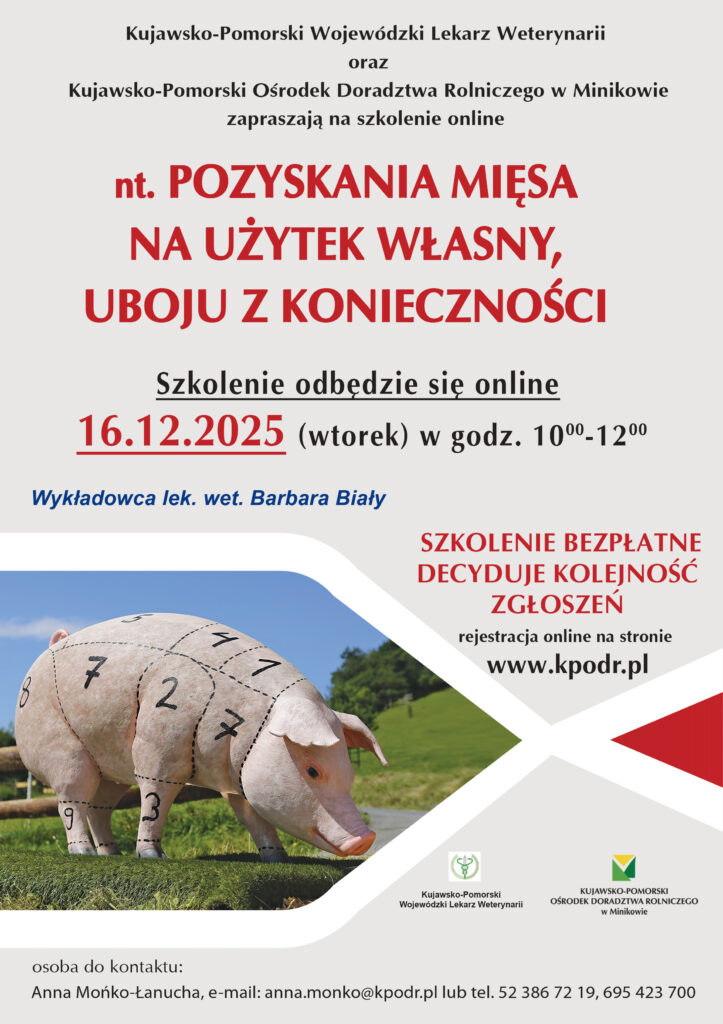 plakat szkolenie 2025 12 16 723x1024